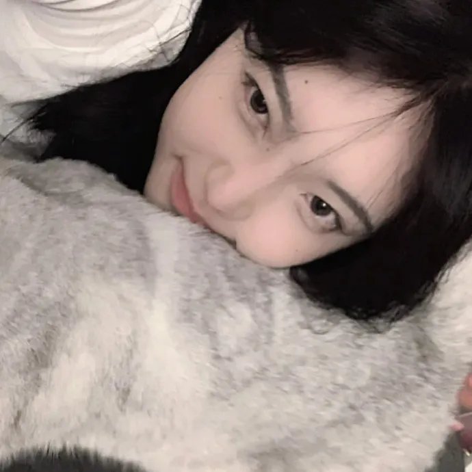 少林与咏春粤语免费在线观看